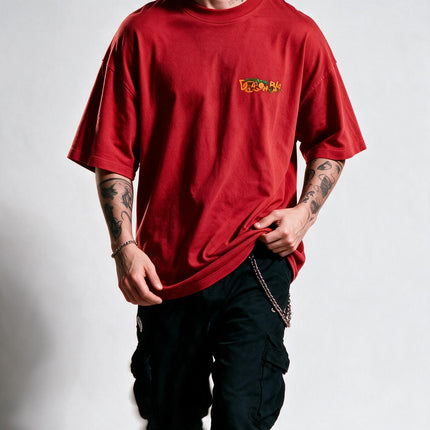 CAMISETA SHENLONG & AS 7 ESFERAS